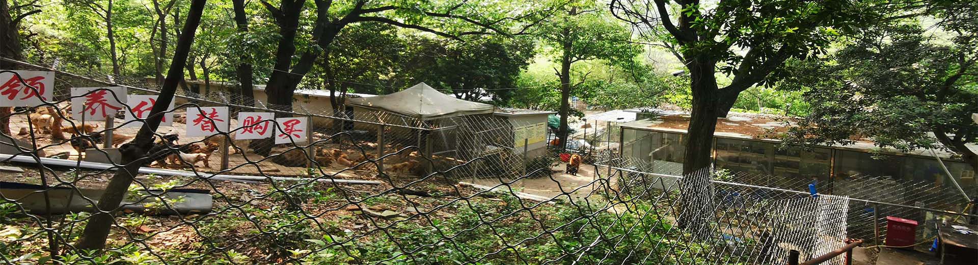 三国城基地