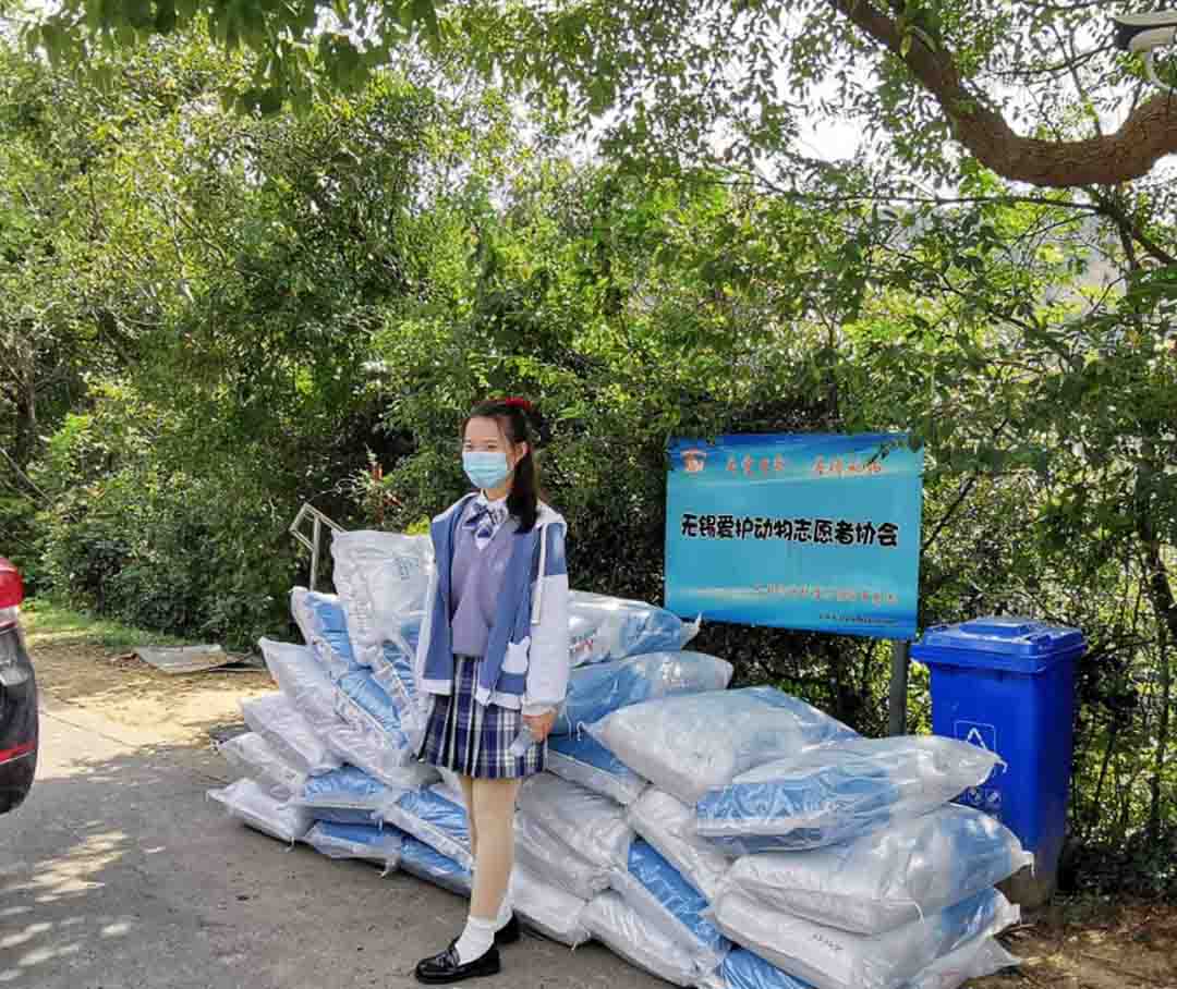 志愿者报名